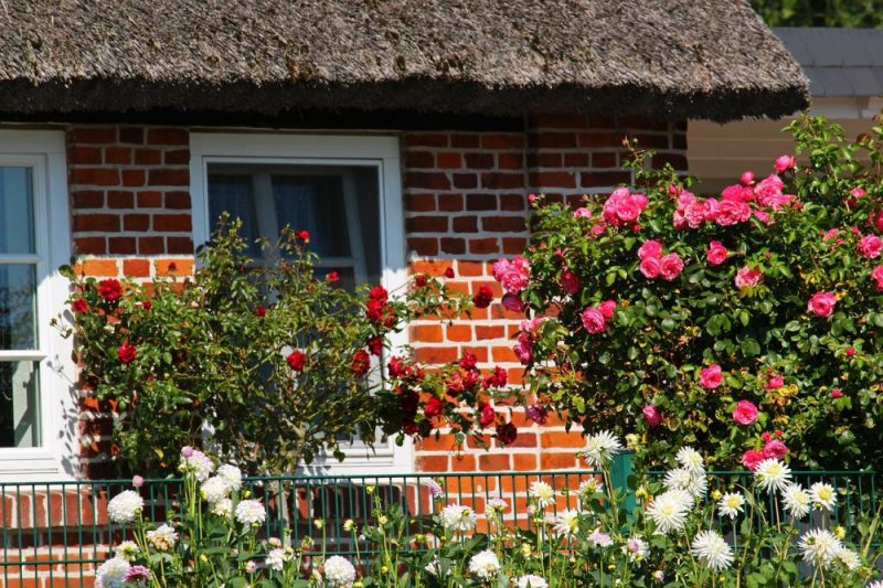 Landscaping Ideas Small Area Front House | Landscape Ideas
