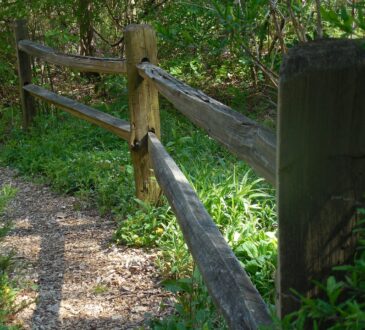 Landscaping Ideas Texas