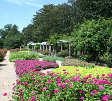 Landscaping Ideas Walkways and Paths