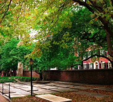 Landscaping Ideas for Shaded Area