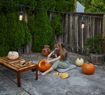 Landscaping Ideas for backyards on a Budget
