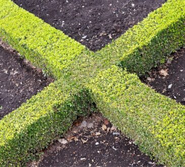 Landscaping Ideas with Cinder Blocks