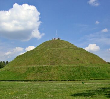 Landscaping Mound Ideas