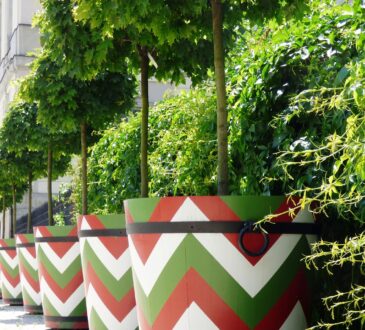Landscaping Pots Ideas