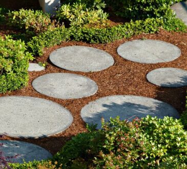 Landscaping Small Garden IDEAS