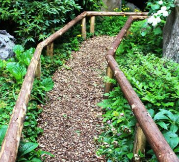 Landscaping with Boulders IDEAS