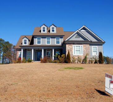 Large Yard Landscape Design