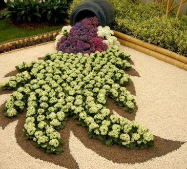 Lava Rock Landscaping Ideas