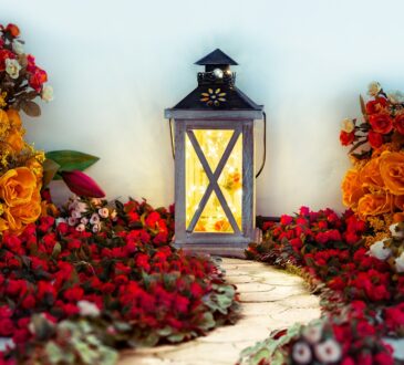 Low Voltage Landscape Lighting IDEAS