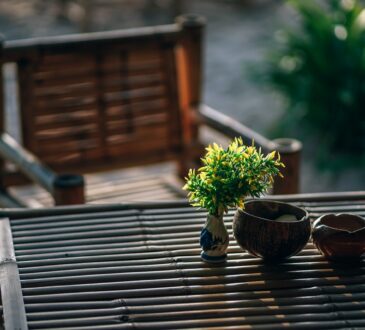 Modern Landscaping IDEAS for Small backyards