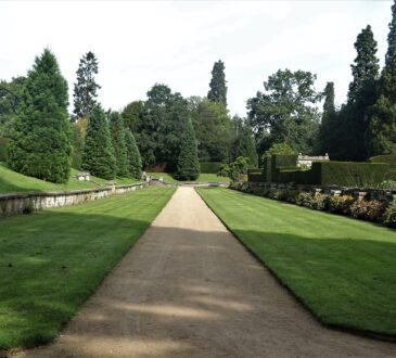 Mondo Grass Landscaping IDEAS