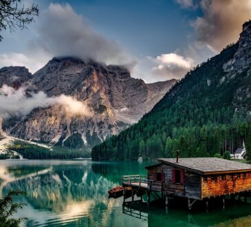 Mountain Landscape Design