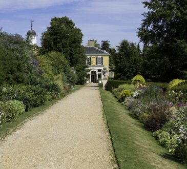 Natural Landscape Ideas