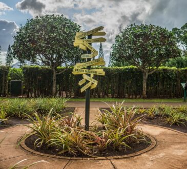 Outdoor Landscaping Design