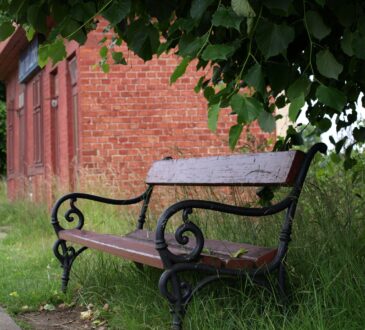 Outdoor Seating Ideas Landscaping
