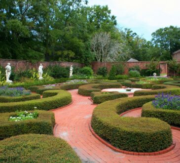 PICS of Landscaping Ideas