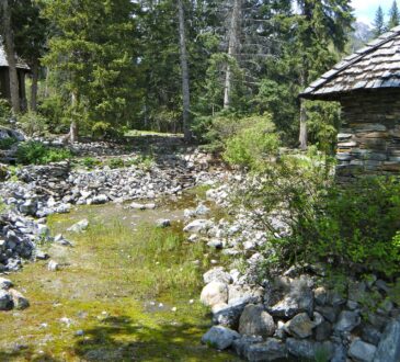 Pebble Landscaping Ideas