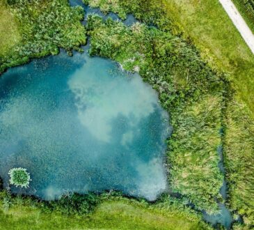 Pond Landscape Design