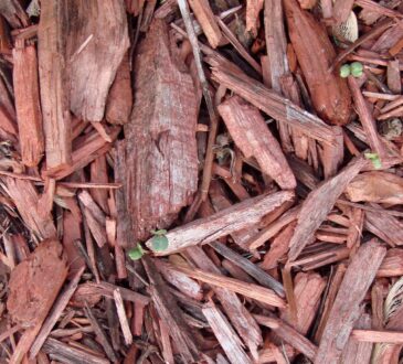 RED Mulch Landscaping Ideas