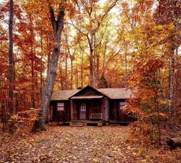 Residential Landscape Design IDEAS