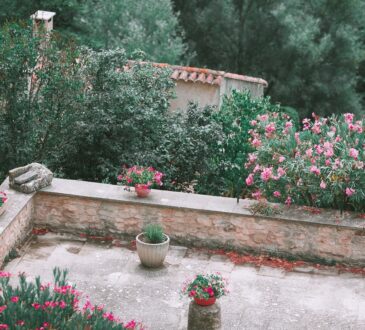 Rock Backyard Landscaping Ideas