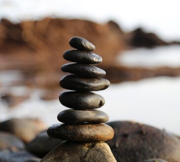 Rock Design Landscaping
