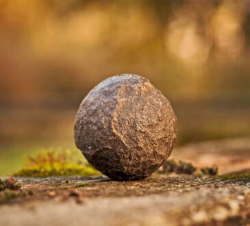Rock Landscaping IDEAS Backyard