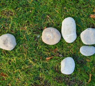 Rock Landscaping Ideas for Front Yard