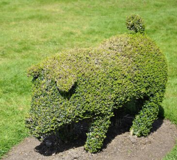Rural Landscape Design IDEAS