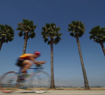 San Diego Landscape Designers