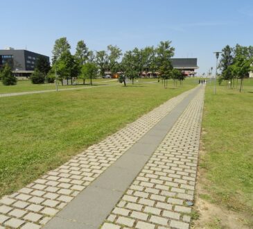 School Landscaping Ideas