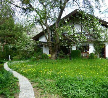 Sidewalk Landscaping IDEAS Pictures