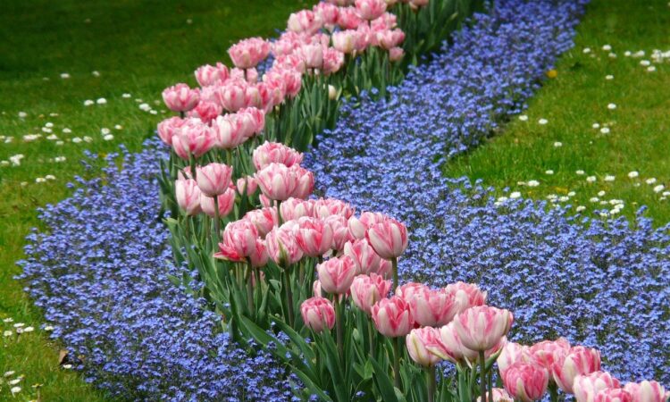 Simple Flower Bed Landscaping IDEAS