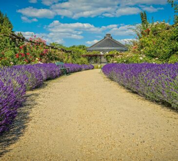 Single Family Home Landscaping Ideas