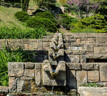 Sloped Landscaping IDEAS