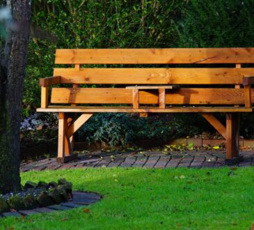 Small Backyard Landscape IDEAS