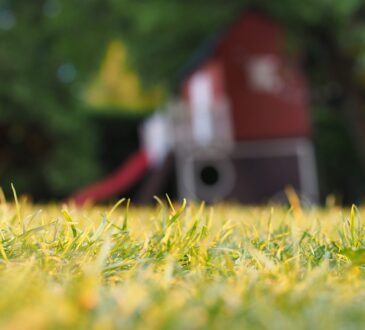 Small Backyard Landscaping IDEAS do myself