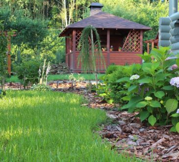 Small Space Landscape Ideas