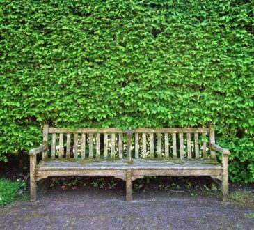Small Yard Landscape Ideas