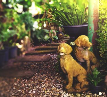 Small landscaped Garden IDEAS