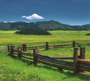 Southwest Landscape Design IDEAS
