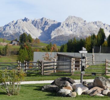 Split Rail Fence Landscaping Ideas