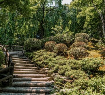 Steep Garden Landscaping IDEAS