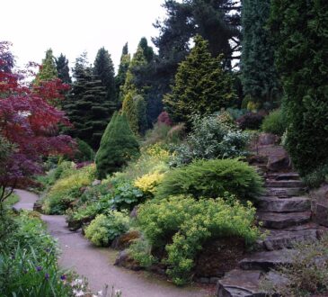 Stepping stones Landscaping IDEAS