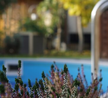 Swim Spa Landscaping Ideas