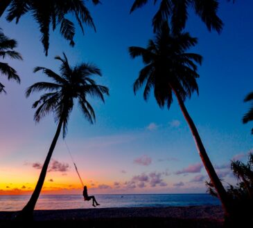 Tropical Backyard Landscaping IDEAS