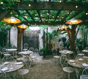 Tropical Landscaping IDEAS for Backyard