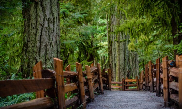 Vancouver Landscape Design