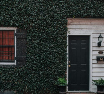 Wall Landscaping Ideas