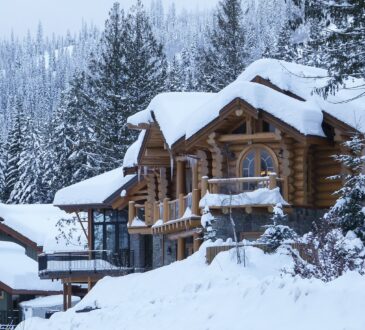 Winter Landscaping Ideas